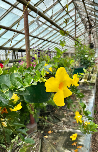 Vests Greenhouse - Thumbnail