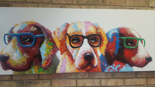 Northwoods Animal Hospital - Thumbnail