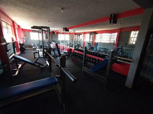 EMIR SPORT gym - Thumbnail