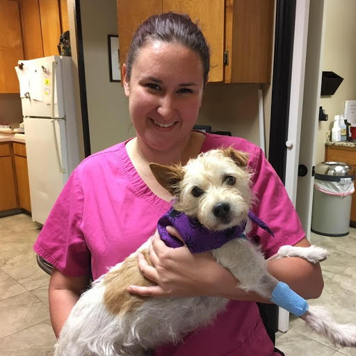 Wylie Veterinary Hospital - Thumbnail