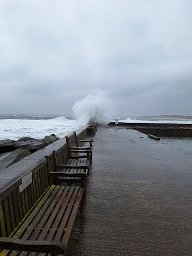 Beadnell Harbour Gallery - United Kingdom