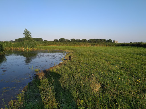 Lutkemeer - Thumbnail