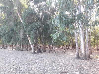 Photos of Lake Oubeira