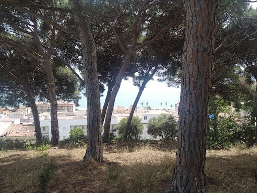 Parc can santinyà - Thumbnail
