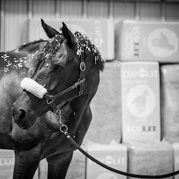 Photo n°1 de Ecolit à Croissanville (Magasin d'alimentation animale)