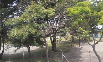 park