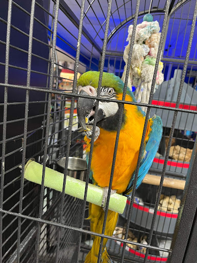 Uncle Bill's Pet Centers Fort Wayne - Thumbnail