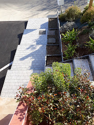 Photo n°2 de Lf Amenagement à Ligné (Paysagiste)