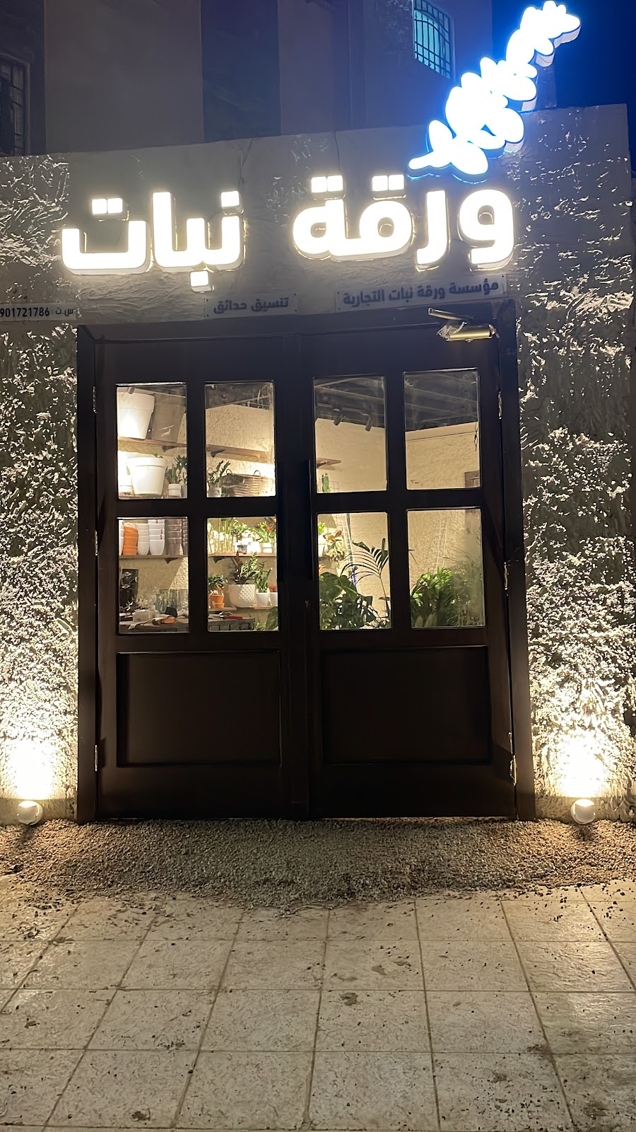 متجر ورقة نبات - صورة 3