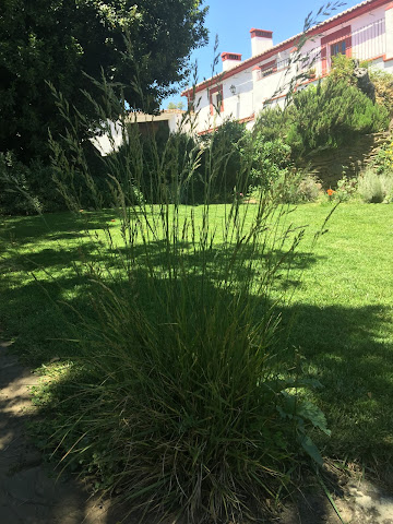 Casa Rural El Recuerdo/Birding Extremadura by null