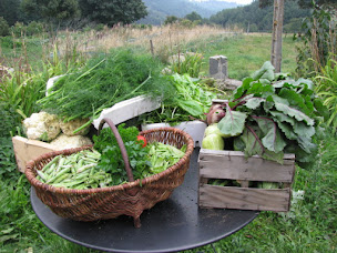 Photo n°26 de Le Péché De Paresse à Saint-André-en-Vivarais (Centre de bien-être)