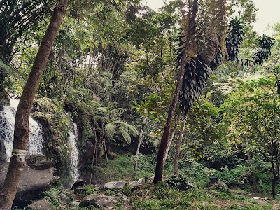 Photos of Camping Ground RINDAM jaya GUNUNG BUNDAR/GUNUNG HALIMUN