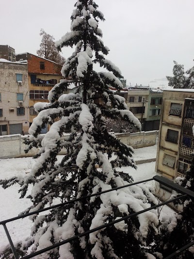 Photos of مسجد الفتح