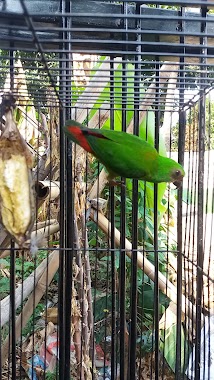 Kios Burung Pakde WARSITO, Author: Prida Nuryani