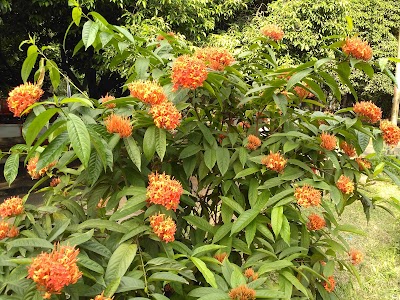Photos of Ramna Park