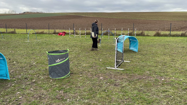 Heures d'ouverture de Terrain Canin Actif