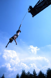 Photo n°9 de Eurl Camp Loisirs Aventures à Saint-Pierre-de-Trivisy (Service d'élagage)