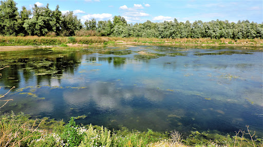 't Gelders Eiland