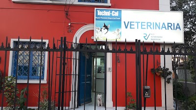 Photos of Marceven, Vets
