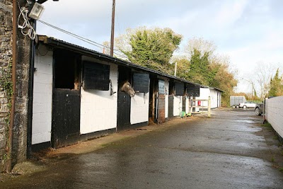 Photos of Clonfert Maynooth Equestrian Centre