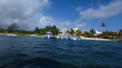 Photos of Cancun Adventure Tours