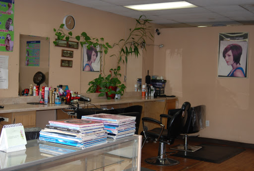 Alicia's Hair Design Logo