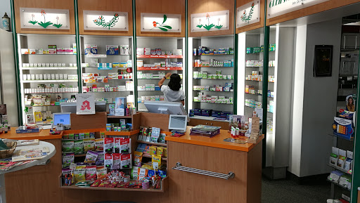 Greifswalder-Apotheke - Thumbnail
