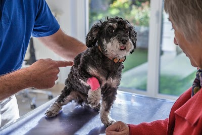 Photos of Veterinary practice Sven B&auml;nder