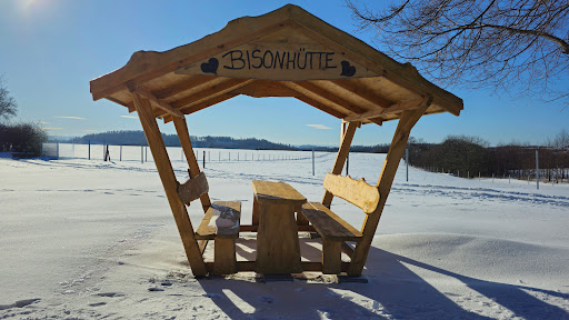 Bisonhütte - Visual