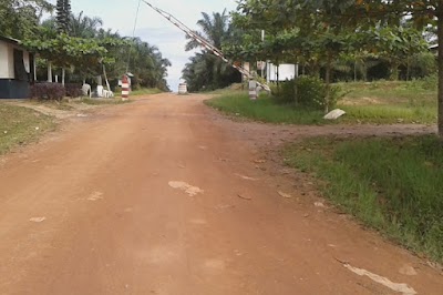 Photos of Nahiyang Estate, Agronomi