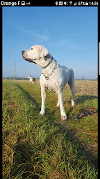 Photo n°4 de Maeva et compagnies à Kunheim (Magasin d'alimentation animale)