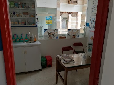 Photos of Clinica Veterinaria Zooland