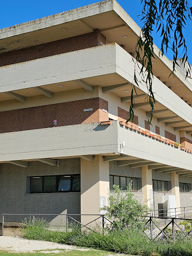 Azienda Sanitaria Locale Viterbo