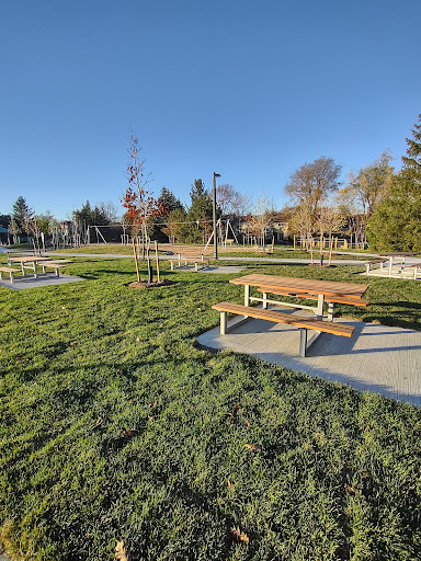 Carrville Park Gallery - Canada