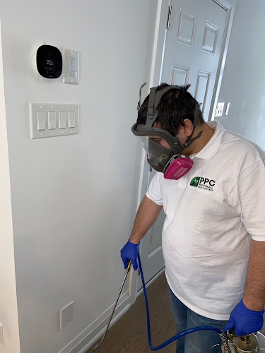 Provincial Pest Control Toronto work photo 1