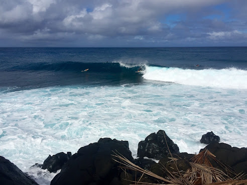 Kermit Surf Resort and Restaurant Siargao by null