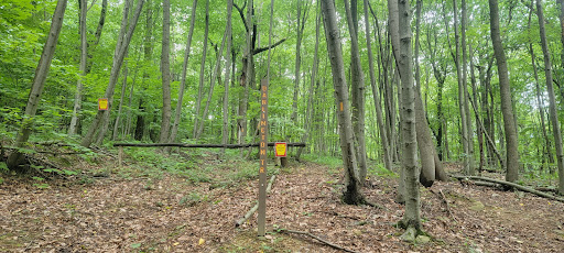 Darlington Trail - Thumbnail