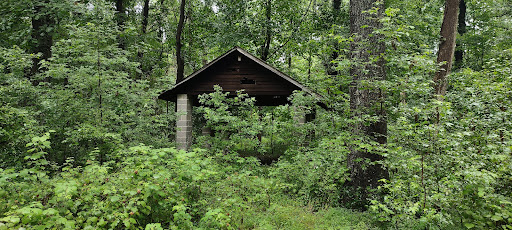 Corcoran Environmental Study Area - Thumbnail