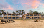 Safari Hotel Beekse Bergen à  Hilvarenbeek
