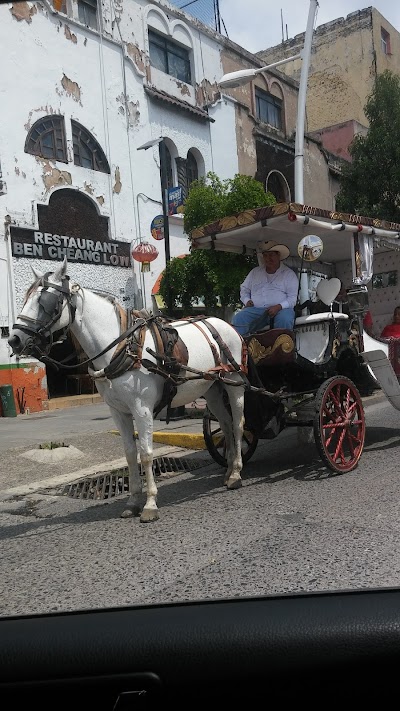 Photos of Masagua Park