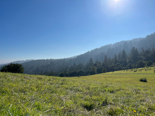 Wunderlich County Park - Thumbnail