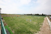 犬の学校ドッグウェイ