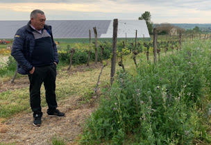 Photo n°4 de Château Virac à Taillecavat (Vignoble)