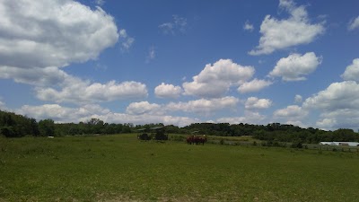 Photos of Wilson College