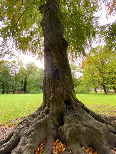 Flöha Park - Visual