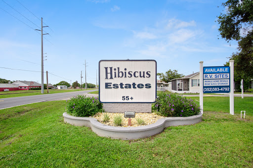 Hibiscus - Visual