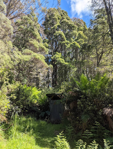 Frosty Hollow by null