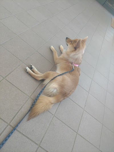 Photos of Huntington Animal Hospital