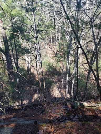 Warner Trail - Visual