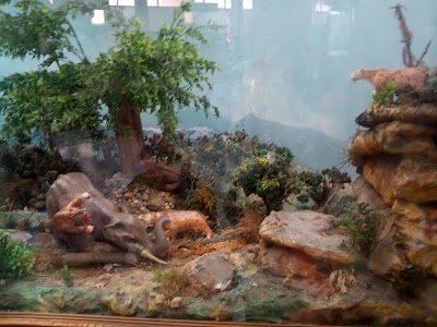 Photos of National Geological Museum Jos&eacute; Royo y G&oacute;mez